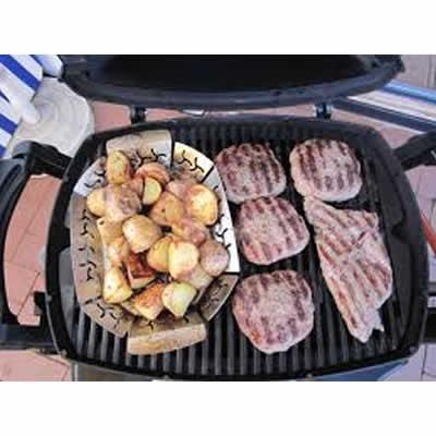 Gertoolpro Q 1200 Portable Gas Grill 51010001