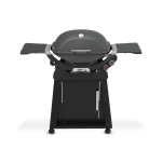 Gertoolpro 1500393 Q 2800N+ Gas Grill With Stand (Liquid Propane) – Charcoal Grey
