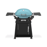 Gertoolpro 1500394 Q 2800N+ Gas Grill With Stand (Liquid Propane) – Sky Blue